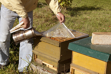 Image showing beekeeper with open hive