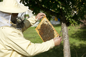 Image showing beekeeper inspected hive