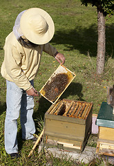 Image showing beekeeper from Germany