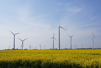 Image showing Rape field with windmills
