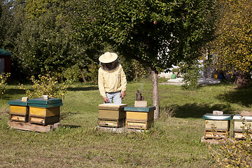 Image showing beekeeper with hive