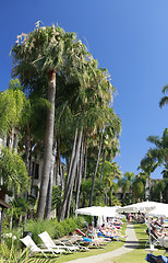 Image showing Sun loungers in the club hotel