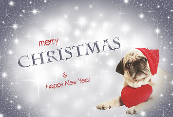 Image showing pug santa claus cap heart