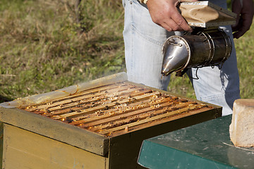 Image showing beekeeper with smoker