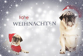 Image showing two dogs frohe weihnachten