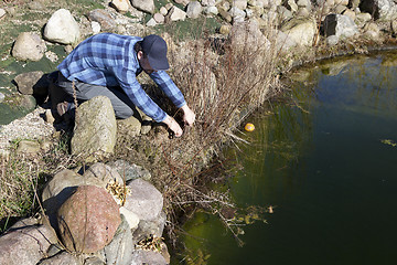 Image showing cutting back on the pond