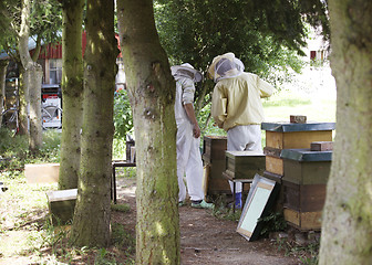 Image showing Beekeepers in the Forest