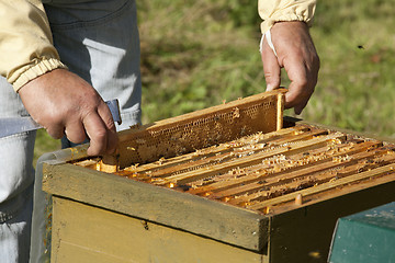 Image showing honeycomb boxes are checked