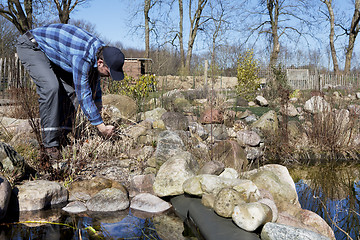 Image showing man cuts plant