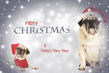 Image showing two dogs merry christmas