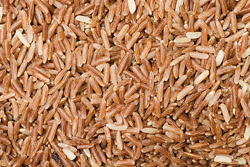 Image showing Brown rice grain texture

