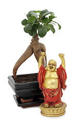 Image showing Buddha and bonsai