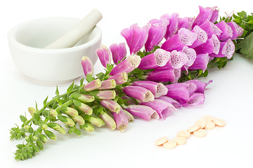 Image showing Foxglove with cardiac pills