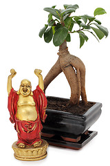 Image showing Bonsai and buddha