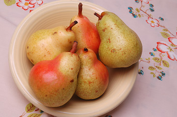 Image showing pears