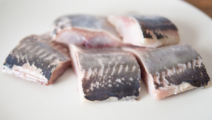 Image showing herring