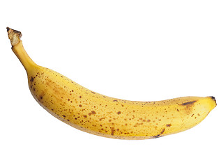 Image showing Banana fruit