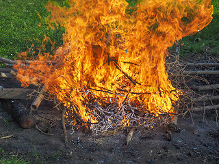 Image showing Burning fire