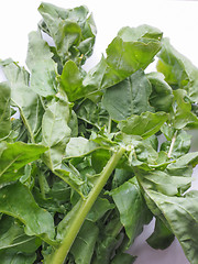 Image showing Rocket salad