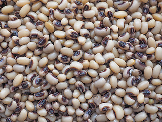 Image showing Beans salad