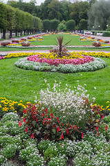 Image showing Beautiful flower bed in park