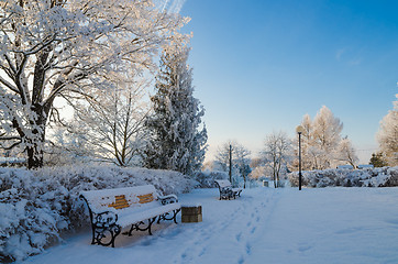 Image showing A beautiful city park with trees covered with hoarfrost