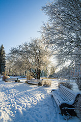 Image showing A beautiful city park with trees covered with hoarfrost