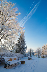 Image showing A beautiful city park with trees covered with hoarfrost