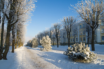 Image showing A beautiful city park with trees covered with hoarfrost