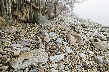 Image showing Stony coast of Baltic sea in a fog