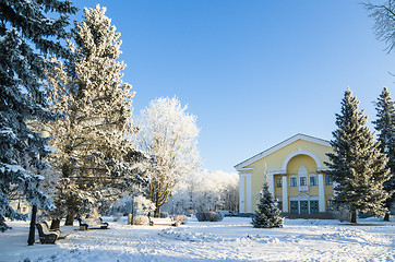 Image showing A beautiful city park with trees covered with hoarfrost