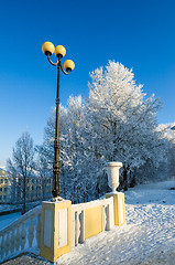 Image showing A beautiful city park with trees covered with hoarfrost