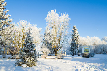 Image showing A beautiful city park with trees covered with hoarfrost