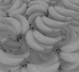 Image showing Bananas are a lot of beautiful banana background
