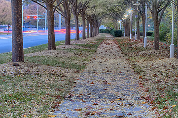Image showing Autumnal alley in the park along the road