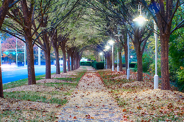 Image showing Autumnal alley in the park along the road