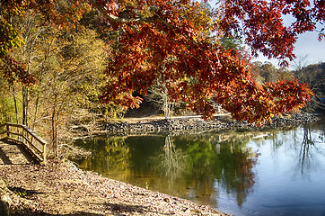 Image showing Autumn Landscape. Park in Autumn. The bright colors of autumn in