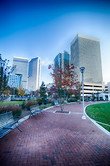 Image showing autumn in charlotte city qc of north carolina