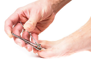 Image showing Person cutting ingrown big toe nail isolated towards white