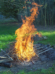 Image showing Burning fire