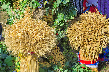 Image showing Two sheaf of wheat , barley, rye on the background of green leav