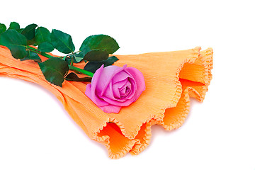 Image showing Flower red rose with leaves on a white background.