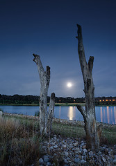 Image showing Moonlight lakeside