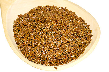 Image showing linseed