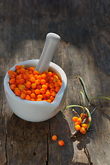 Image showing Sea buckthorn Berries