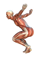 Image showing Muscle Maps