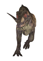 Image showing Dinosaur Tyrannosaurus