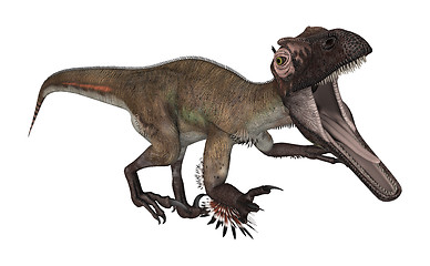 Image showing Dinosaur Utahraptor