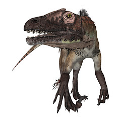 Image showing Dinosaur Utahraptor