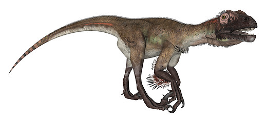 Image showing Dinosaur Utahraptor